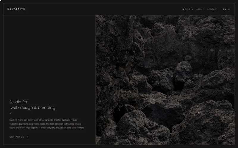 Salt&Bits • Studio for web design & branding
